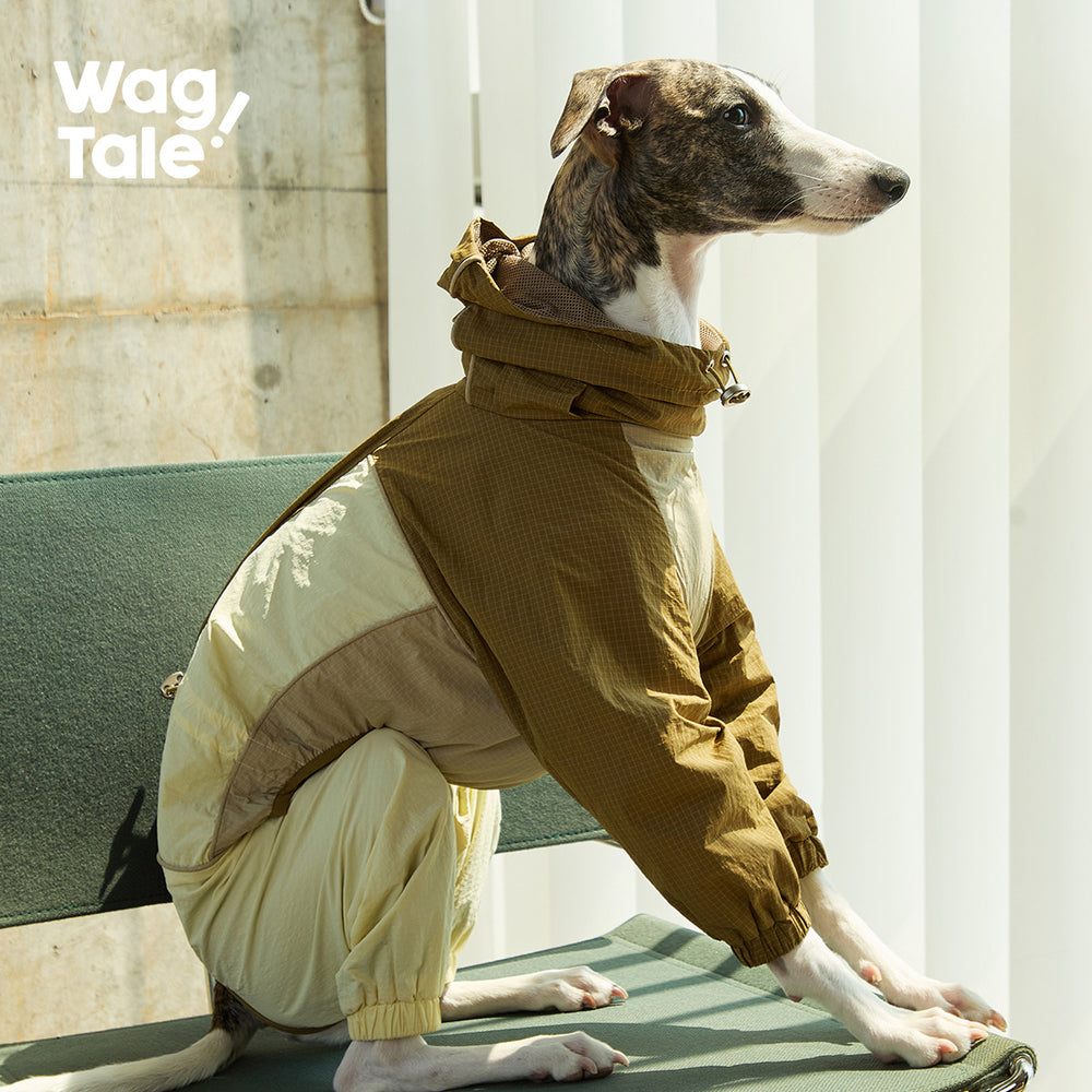 Product photo: City Jungle Limited Storm — Waterproof Dog Rain Suit.