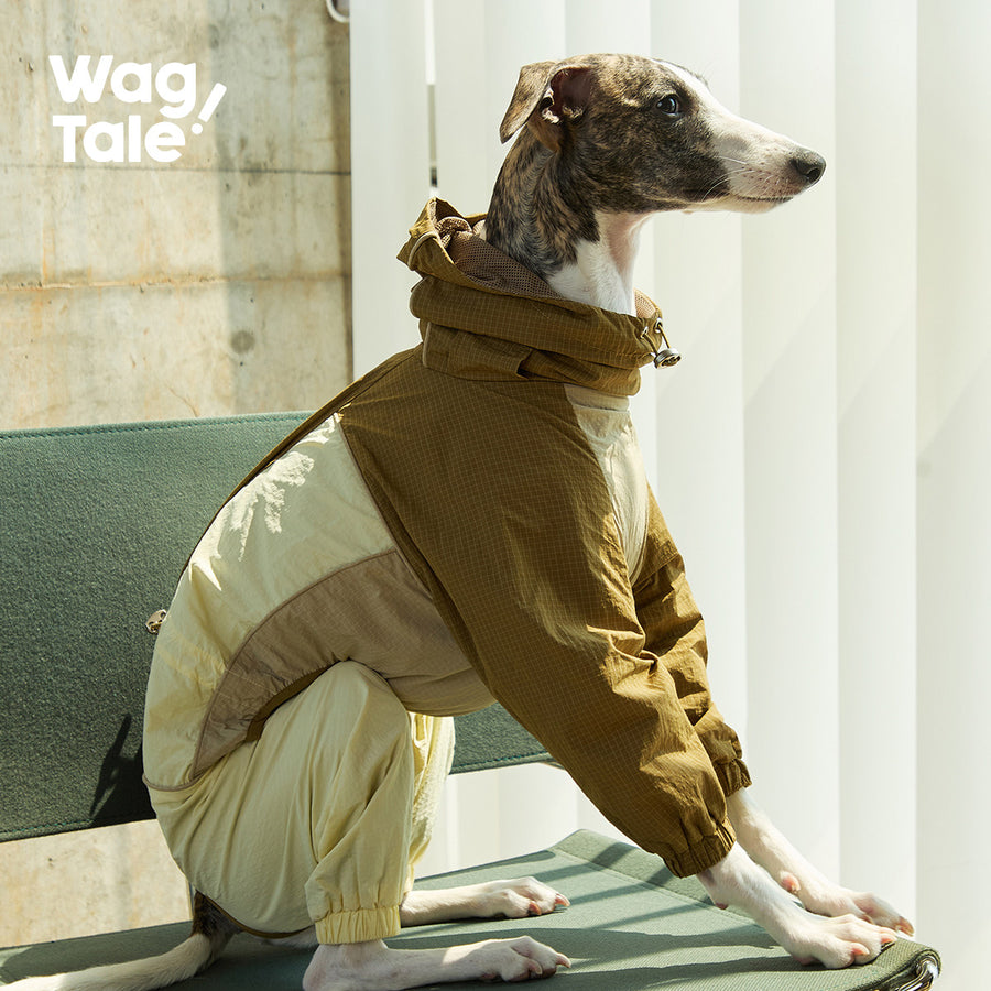 Product photo: City Jungle Limited Storm — Waterproof Dog Rain Suit.