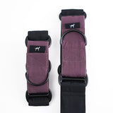 Product photo: Easy-Wear — Two-Tone Martingale Dog Collar.