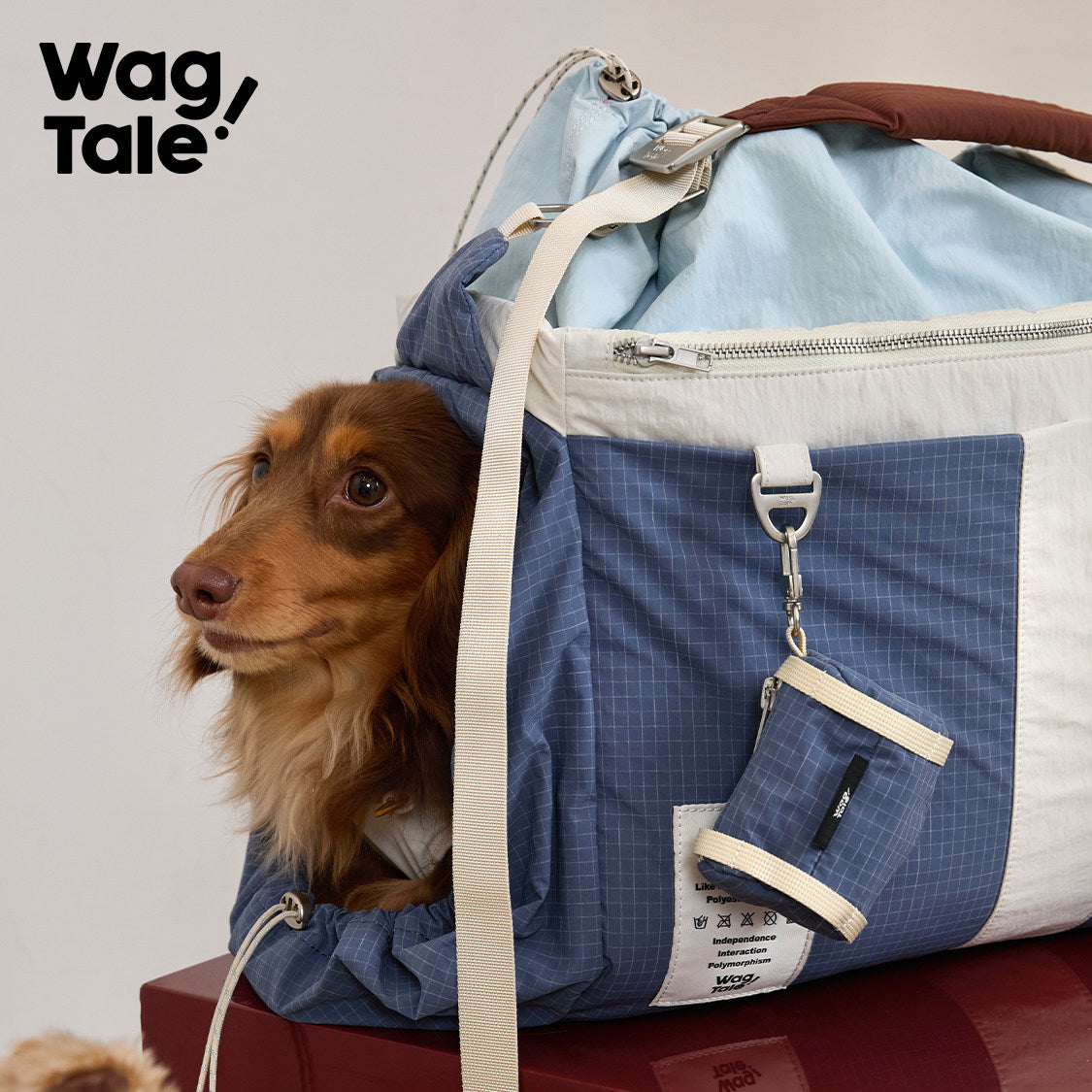 All-Weather Waterproof Pet Carrier Bag, Blue Film color