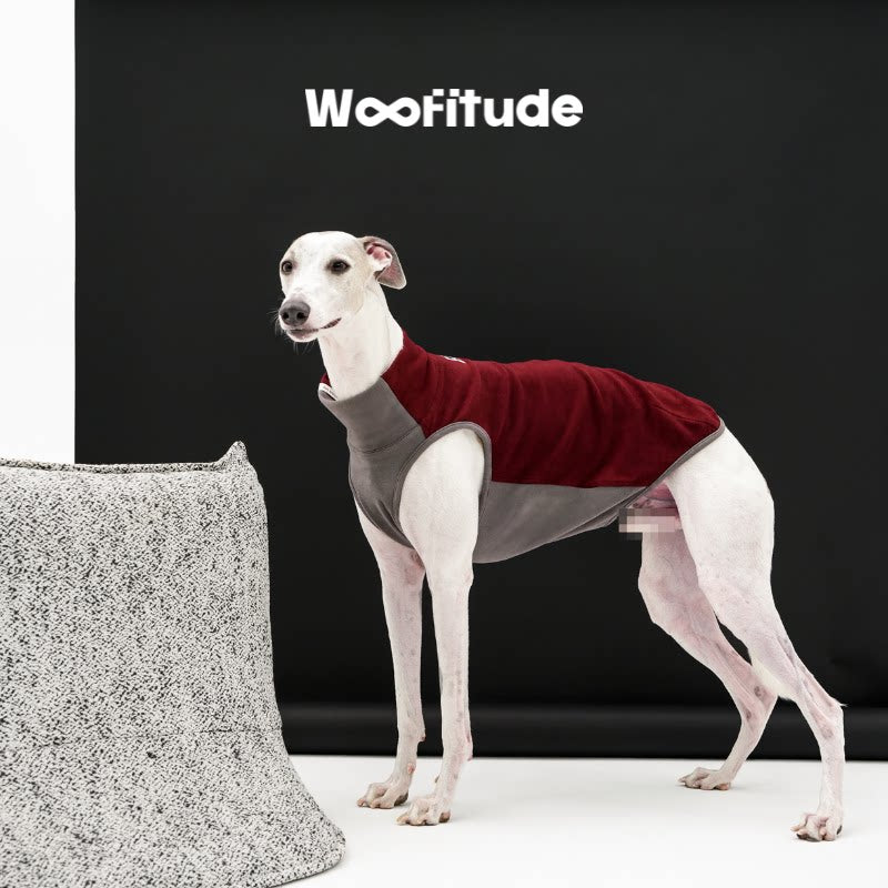 Anti-Static Thermal Tencel Dog Vest, Charcoal & Red color