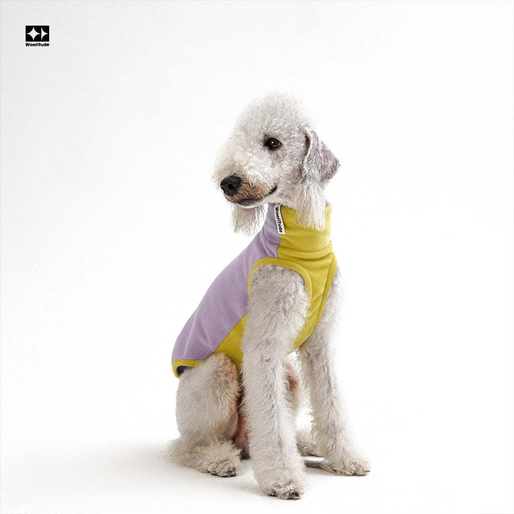 Anti-Static Thermal Tencel Dog Vest, Purple & Green color