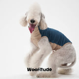Anti-Static Thermal Tencel Dog Vest, Retro Blue & Oat Yellow color