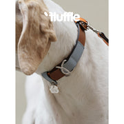 Baroque | Brown & Dusty Blue Leather Dog Collar