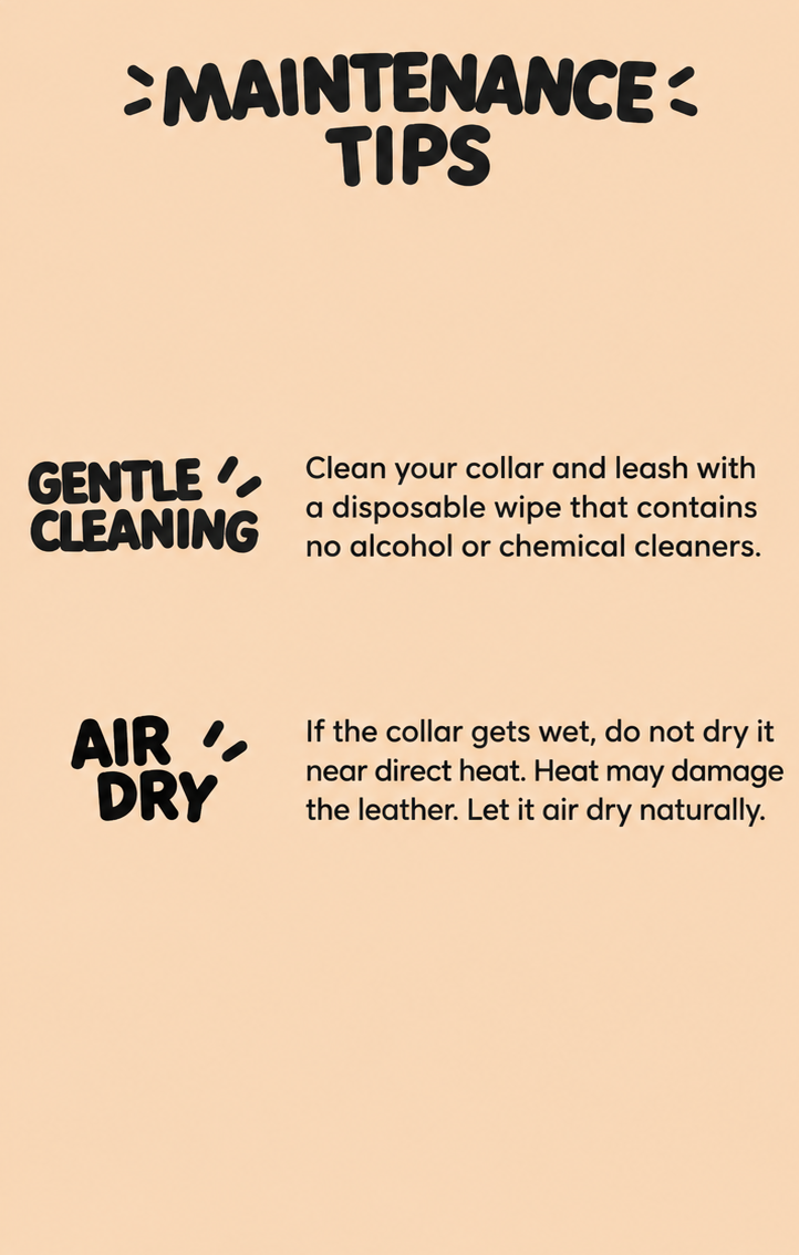 Baroque Italian leather dog collar care guide: clean with a gentle wipe and air dry away from heat
