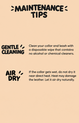 Baroque Cutout Italian leather dog collar care guide: clean with a gentle wipe and air dry away from heat