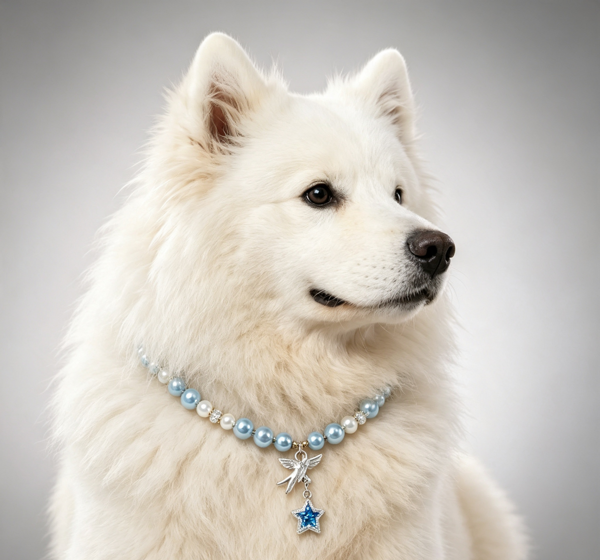 Blue and white pearl-effect pet necklace with silver-tone details and playful star pendant