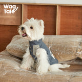 Brushed Color-Block Dog Jacket Vest, Deep Blue color