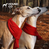 Christmas Red Padded Pet Scarf dog product view 02