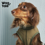 City Jungle 2.0 Color-Block Utility Dog Shirt, Rust color