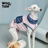 City Jungle 2.0 Color-Block Utility Dog Shirt, Spring Isle color