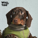 City Jungle 2.0 Color-Block Utility Dog Shirt, Wildwood color