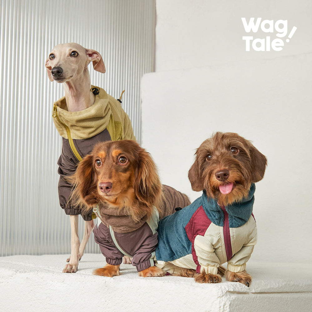 City Jungle 2.0 Fleece Dog Suit, product photo