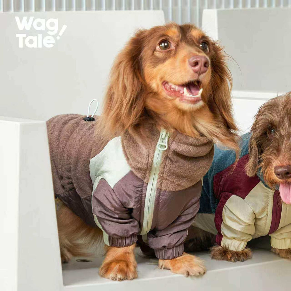 City Jungle Fleece | Warm Fleece Dog Suit