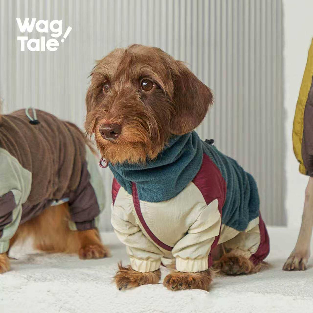 City Jungle 2.0 Fleece Dog Suit, Vintage Red Blue color