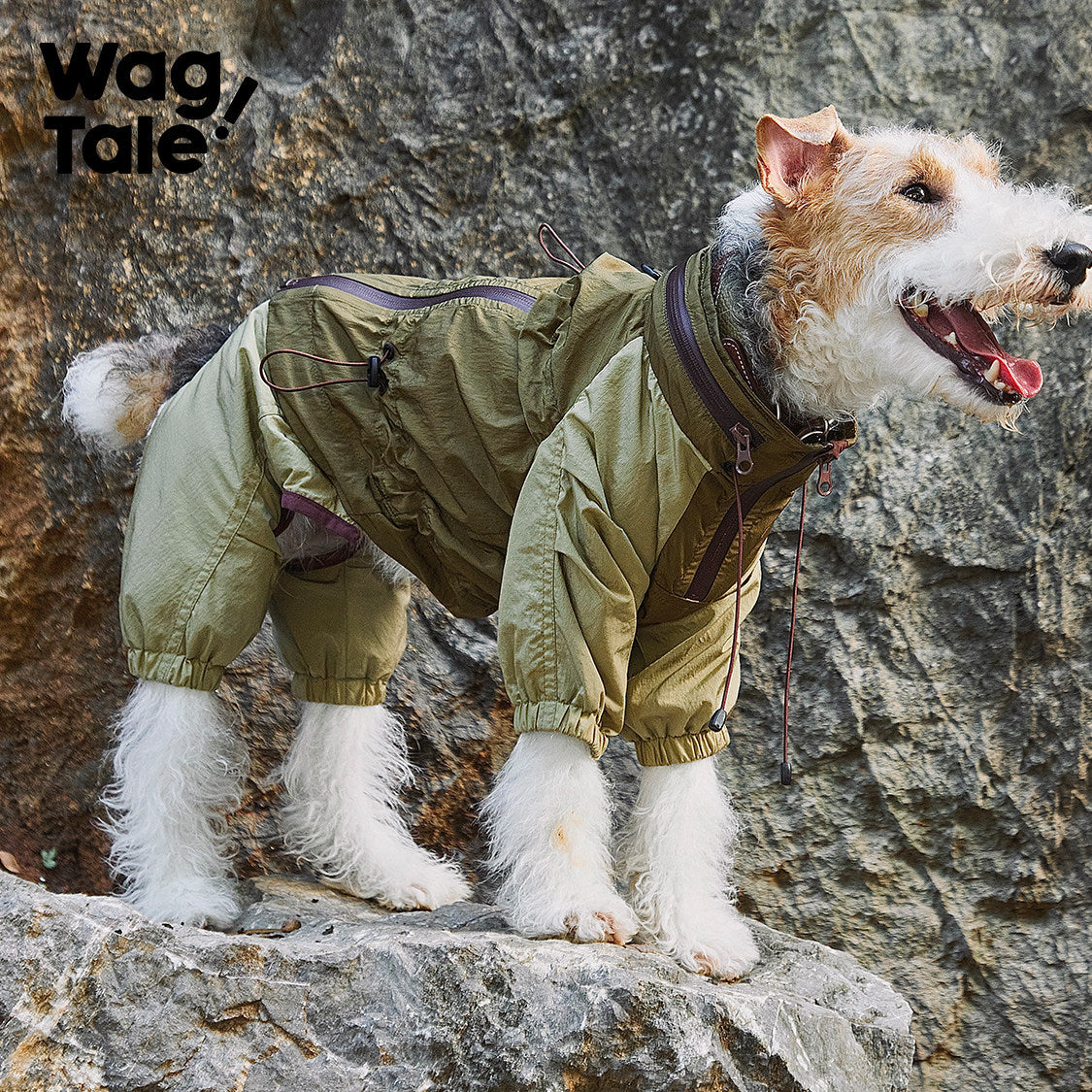 City Jungle Downpour | Waterproof Dog Rain Suit