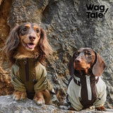 City Jungle 2.0 Waterproof Dog Rain Suit, product photo