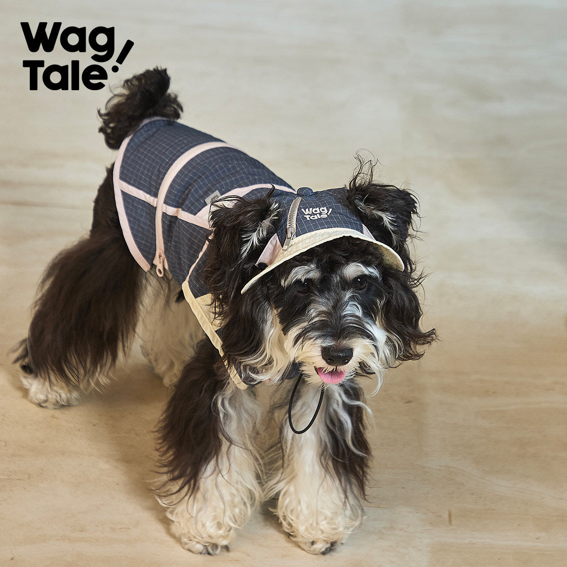 City Jungle 2.0 Waterproof Utility Dog Vest, Deep Blue color