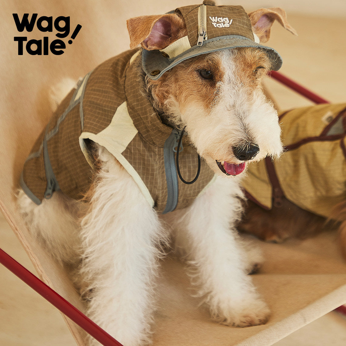 City Jungle 2.0 Waterproof Utility Dog Vest, Tea-Brown Dune color