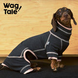 Cloud Anti-Static Thermal Base-Layer Dog Suit, Black-Pink Color Block color