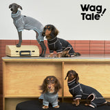 Cloud Anti-Static Thermal Base-Layer Dog Suit, product photo