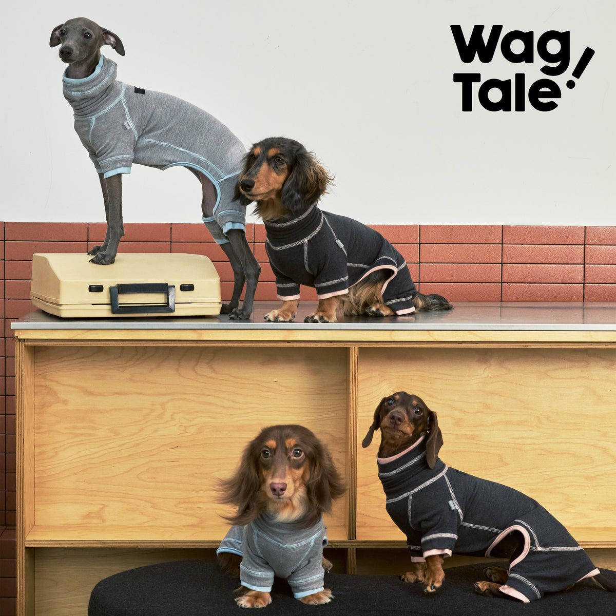 Cloud Anti-Static Thermal Base-Layer Dog Suit, product photo