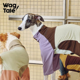 Cloud Cooling Stretch Dog Suit, Grape Wood color