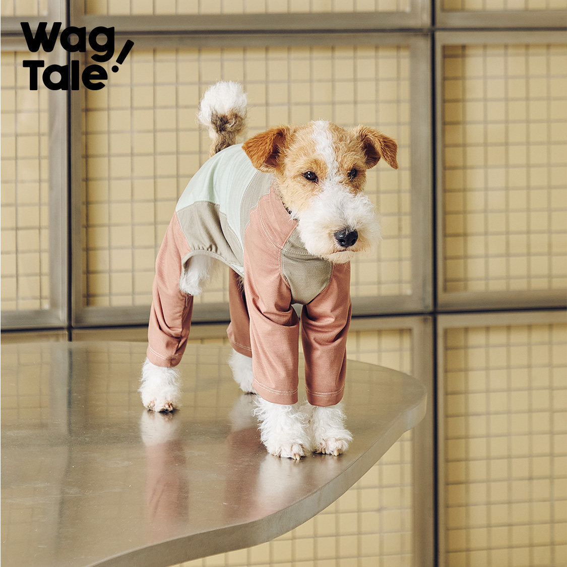 Cloud Cooling Stretch Dog Suit, Orange Peel color
