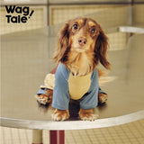 Cloud Cooling Stretch Dog Suit, Vintage Film color