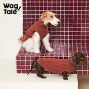 Cloud Ginger Warmth | Ginger-Warm Thermal Dog Vest