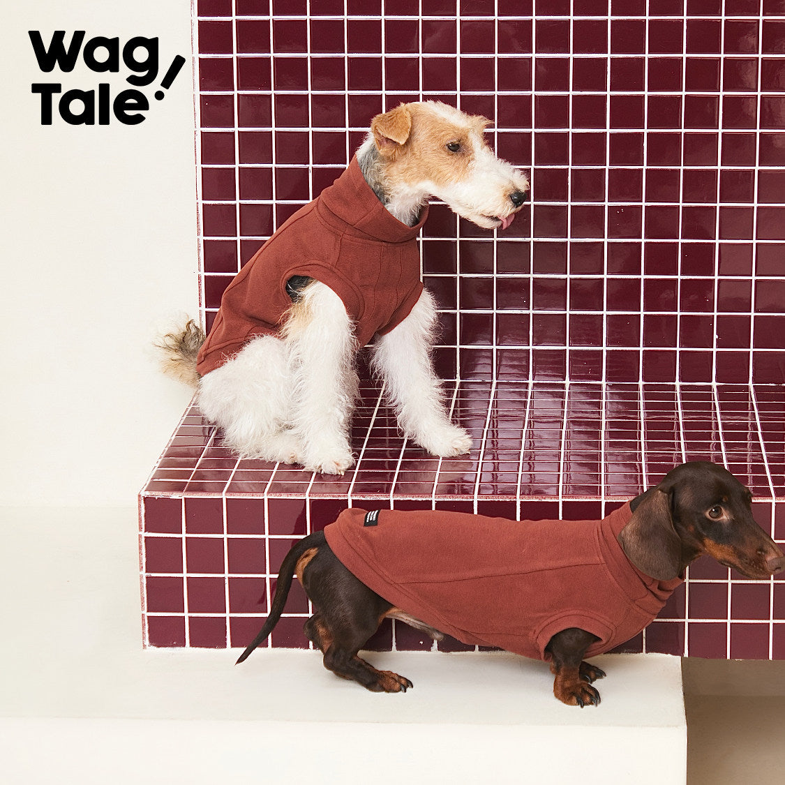 Cloud Ginger Warmth | Ginger-Warm Thermal Dog Vest