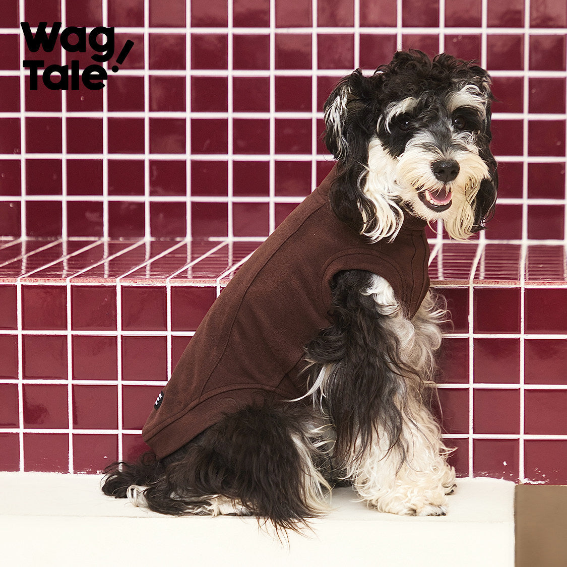 Cloud Warm Thermal Dog Vest, Coffee Brown color