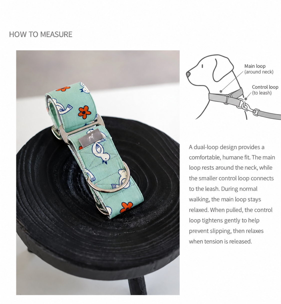 Cuckoo cotton martingale dog collar fit guide showing the main neck loop and leash control loop
