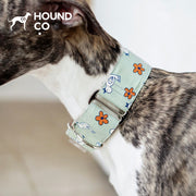Cuckoo | Cotton Martingale Dog Collar