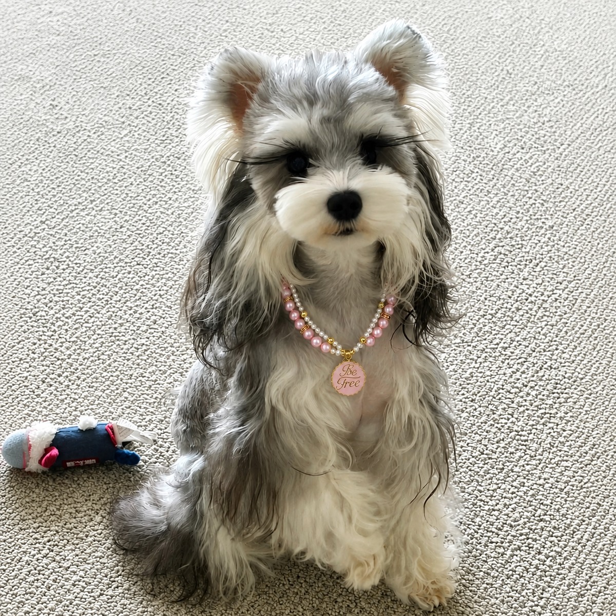 Double-layer pink pet necklace with pearl-effect beads, gold-tone details and Be Free charm