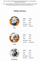 English model measurements and sizing for the color-block dog hoodie