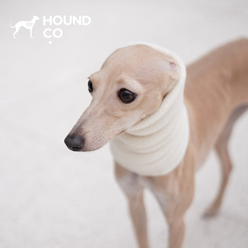 Extra Warm Fleece Sighthound Snood dog product view 02