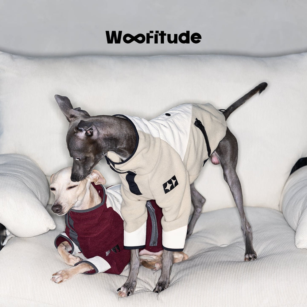 Fleece-Panel Two-Leg Dog Sweatshirt, product photo