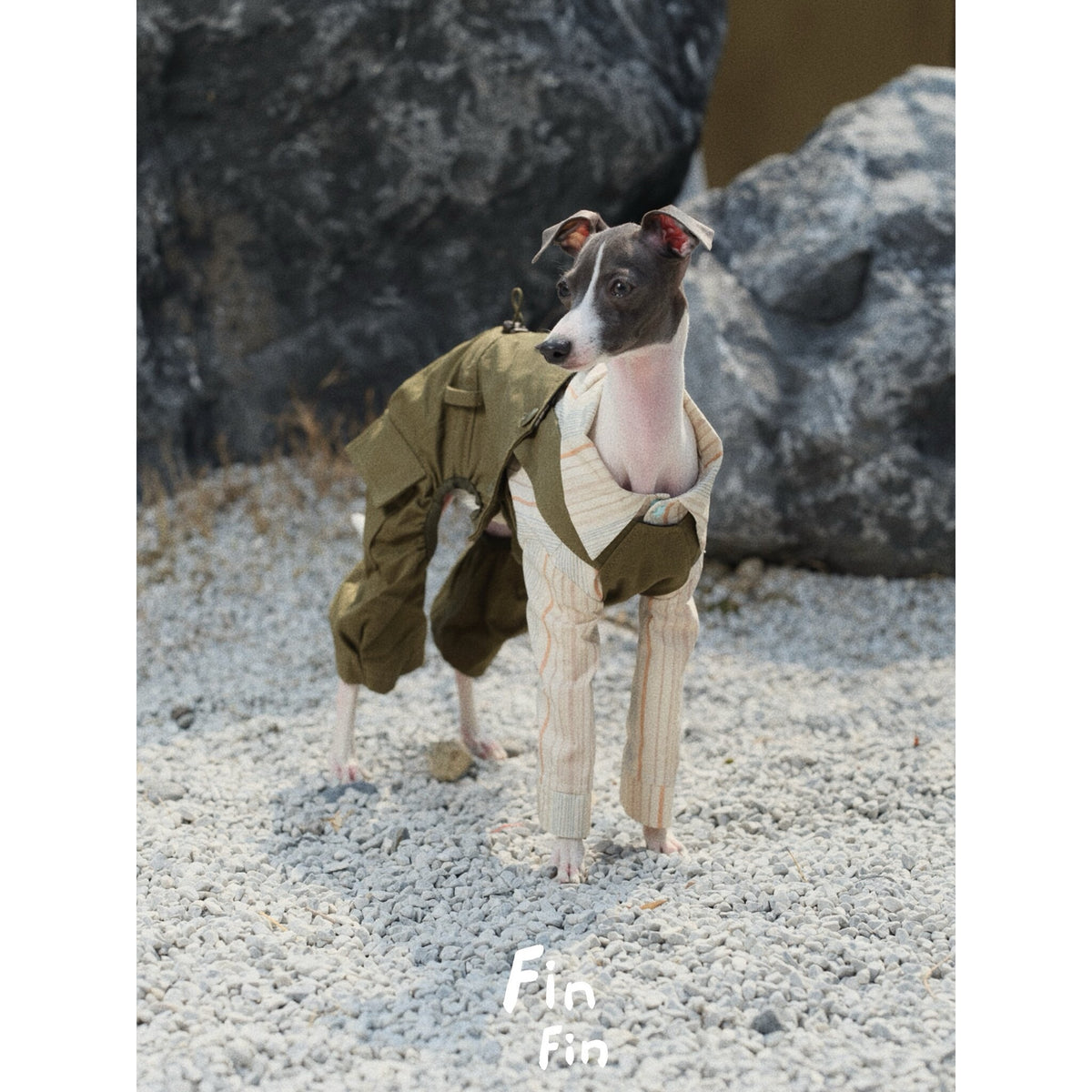 Dog wearing olive utility overalls outdoors beside rocks.