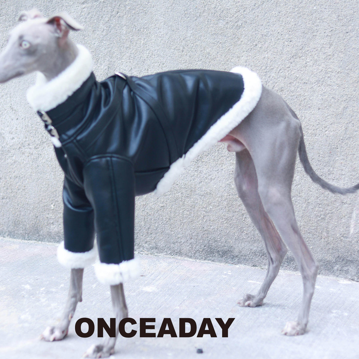 Side view of a black dog biker jacket with fluffy collar and cuffs.
