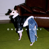Dog wearing a black fluffy-trim jacket with blue jeans.