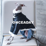 Dog wearing a black biker jacket and blue jeans on a chair.