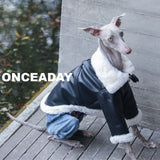 Dog modeling a black fluffy-collar jacket outdoors.