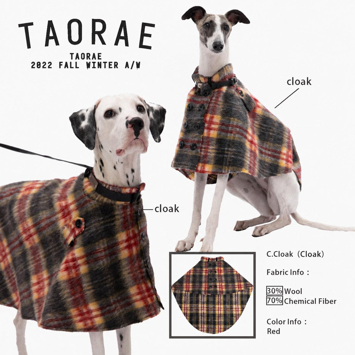 Dalmatian and slender dog wearing matching plaid capes.