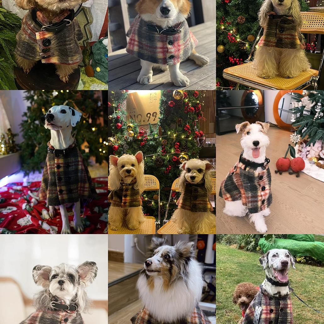 Photo collage of dogs modeling plaid capes in different settings.