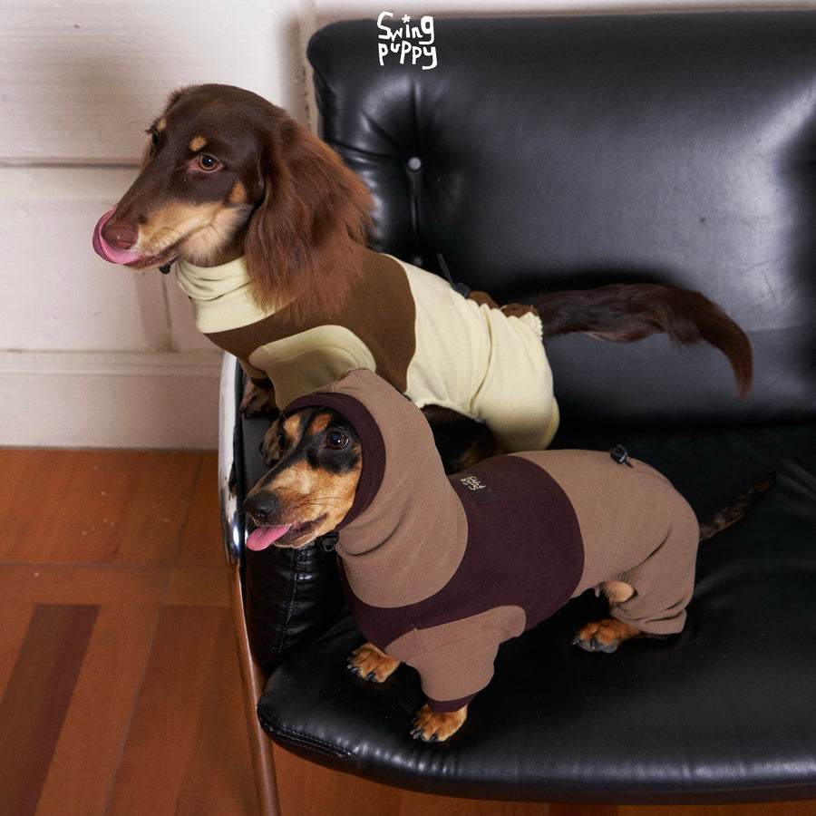 Dogs wearing cream-brown and plum-taupe colorblock bodysuits on a sofa.