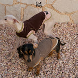 Dogs wearing brown and taupe tops with contrasting trim on pebbles.
