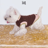 White terrier wearing a brown top with pale pink trim.
