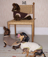 Dogs modeling brown, taupe and cream tops beside a chair.