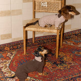 Dachshunds wearing pale pink and brown bodysuits beside a wicker chair.